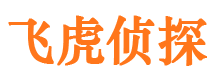 蔡甸市侦探公司